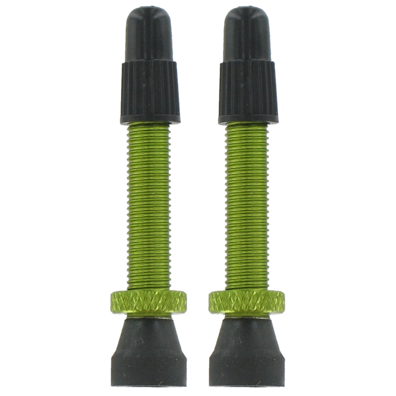 VAR | 2 valves Presta aluminium - vert