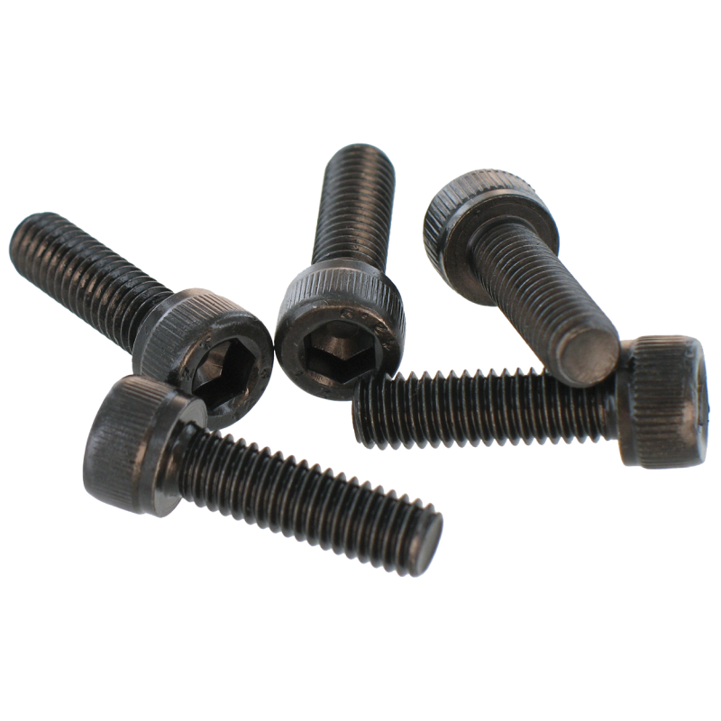 VAR | Bottle of 50 screws for pads - CHC M6x20