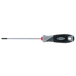 VAR | T10 screwdriver