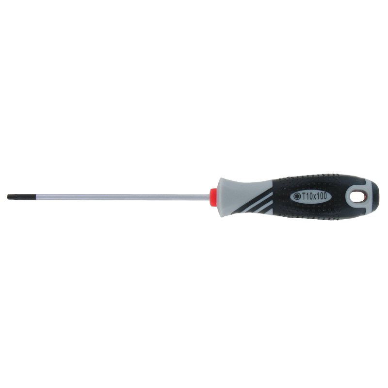 VAR | T10 screwdriver