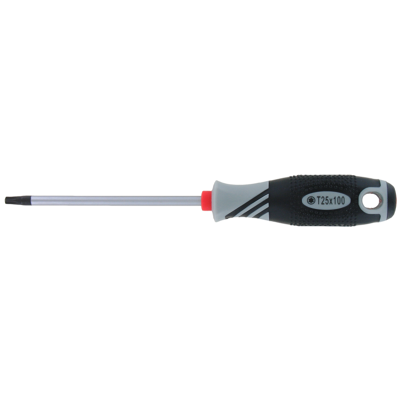 VAR | Tournevis Torx T25