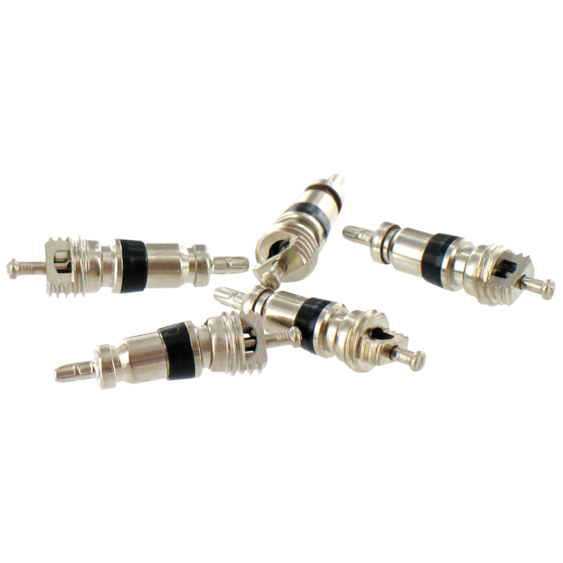 VAR | Flacon de 50 obus de valve Schrader