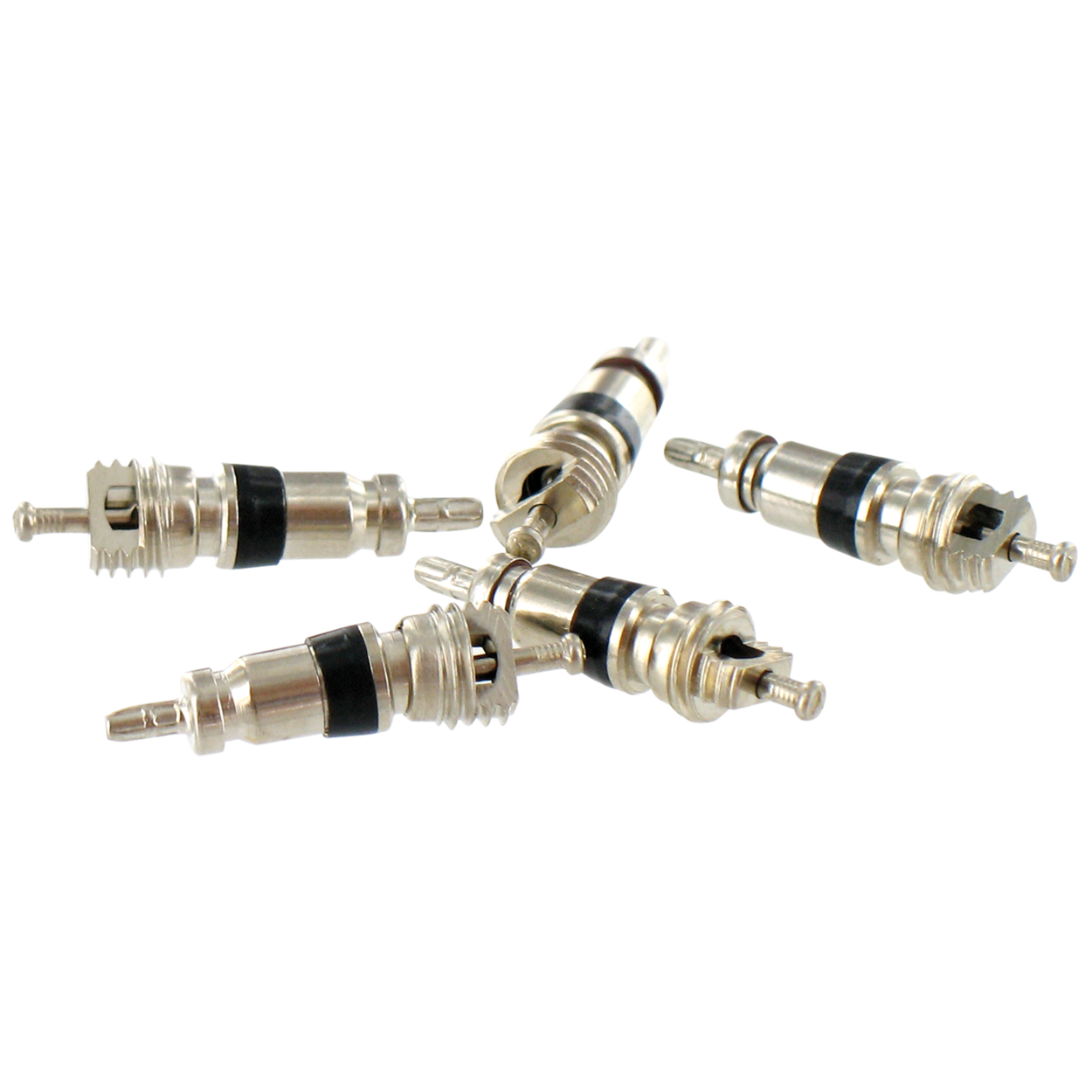 VAR | Flacon de 50 obus de valve Schrader