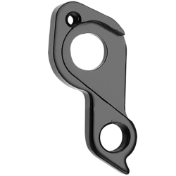 VAR | Derailleur hanger Focus