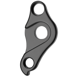 VAR | Derailleur hanger Focus